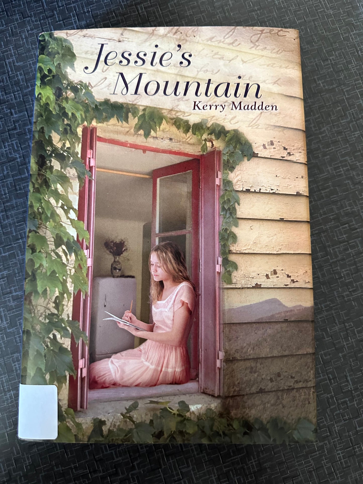 Jessie's Mountain (Maggie Valley Novels)