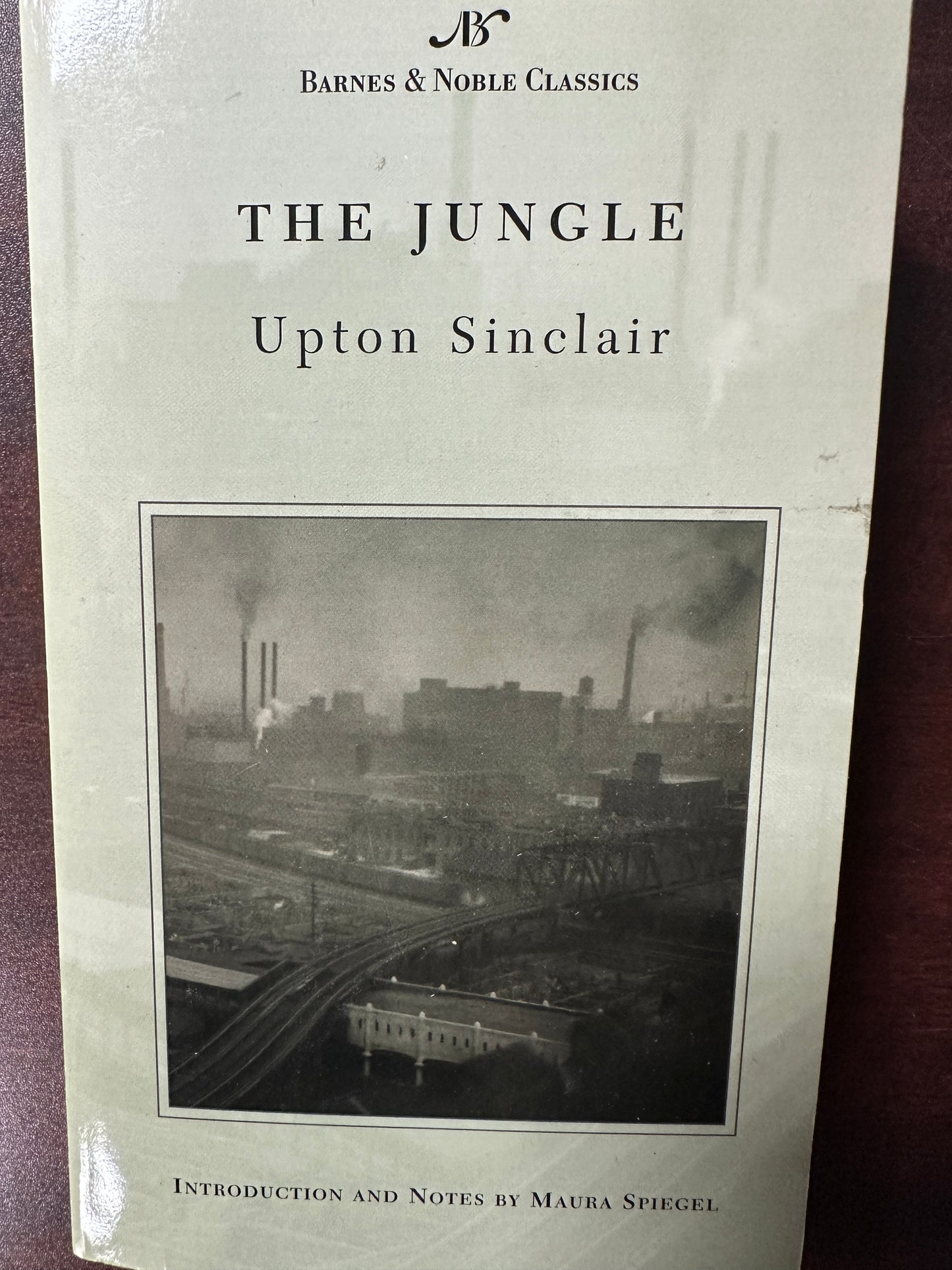 Jungle (Barnes & Noble Classics Series) (B&N Classics), The