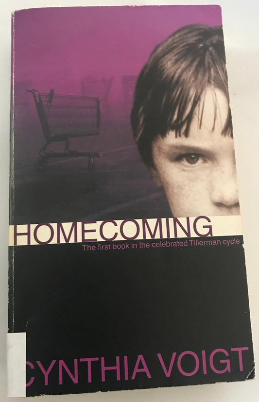 Homecoming (The Tillerman Series #1)