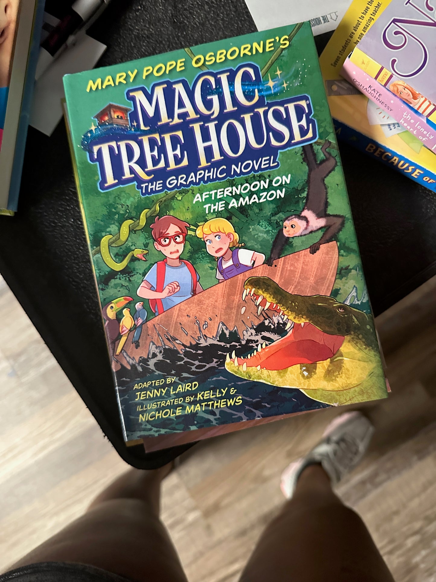 Magic Tree House The Graphic Novel Afternoon on the amazon