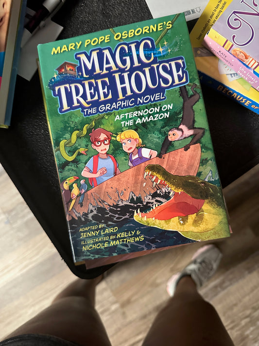 Magic Tree House The Graphic Novel Afternoon on the amazon