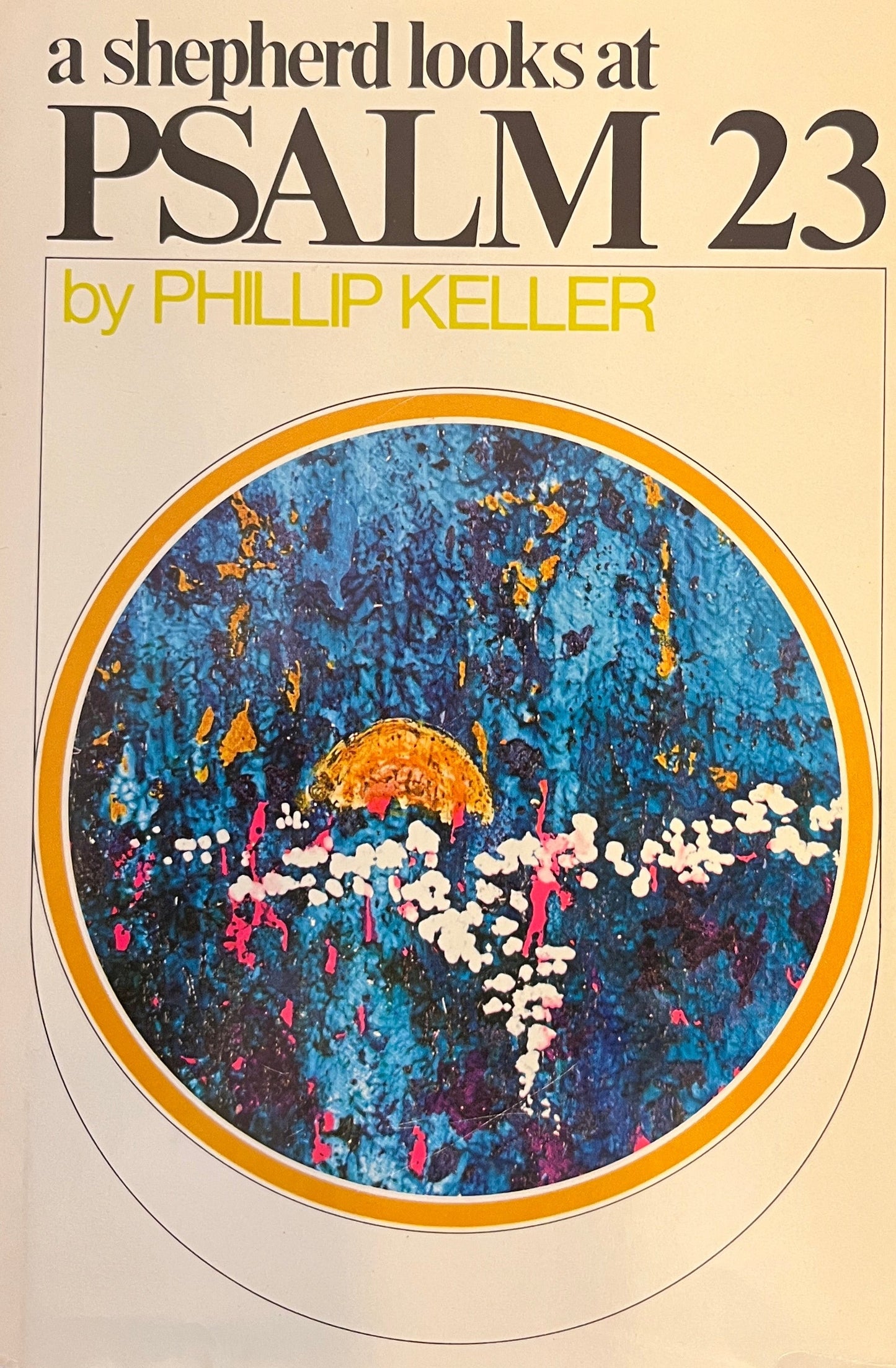 Shepherd Looks at Psalm 23, A