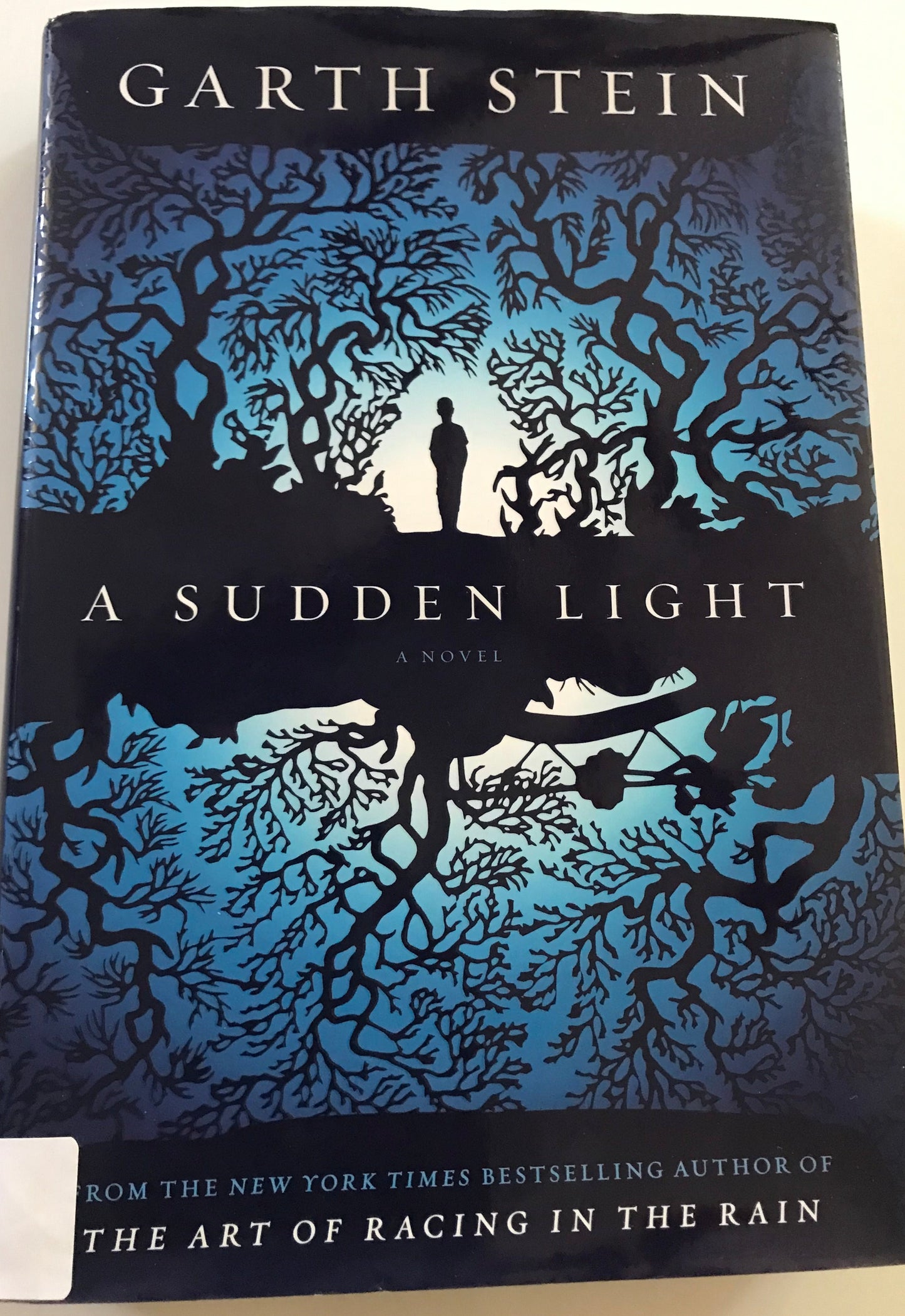 Sudden Light: A Novel, A