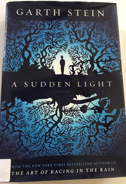 Sudden Light: A Novel, A