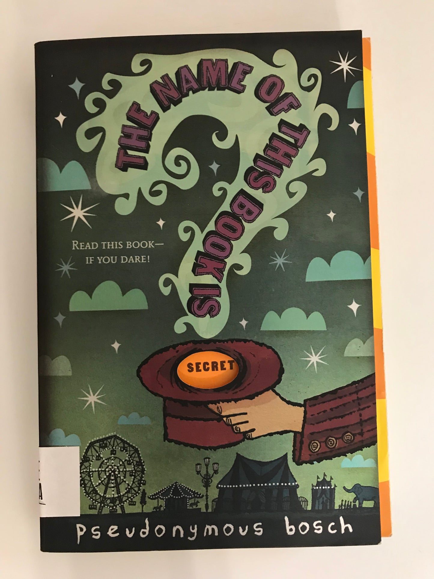 Name of This Book is Secret, The