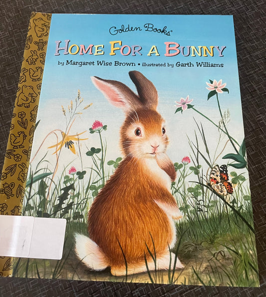 Home for a Bunny