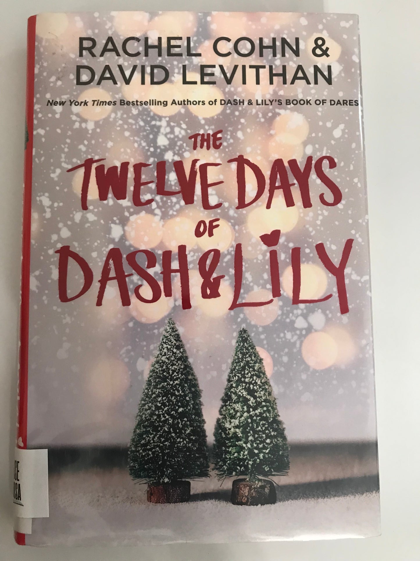 Twelve Days of Dash & Lily, The