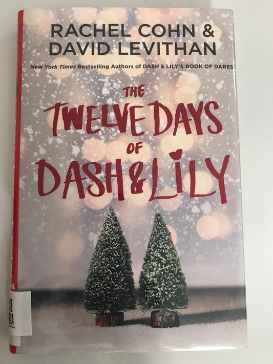 Twelve Days of Dash & Lily, The