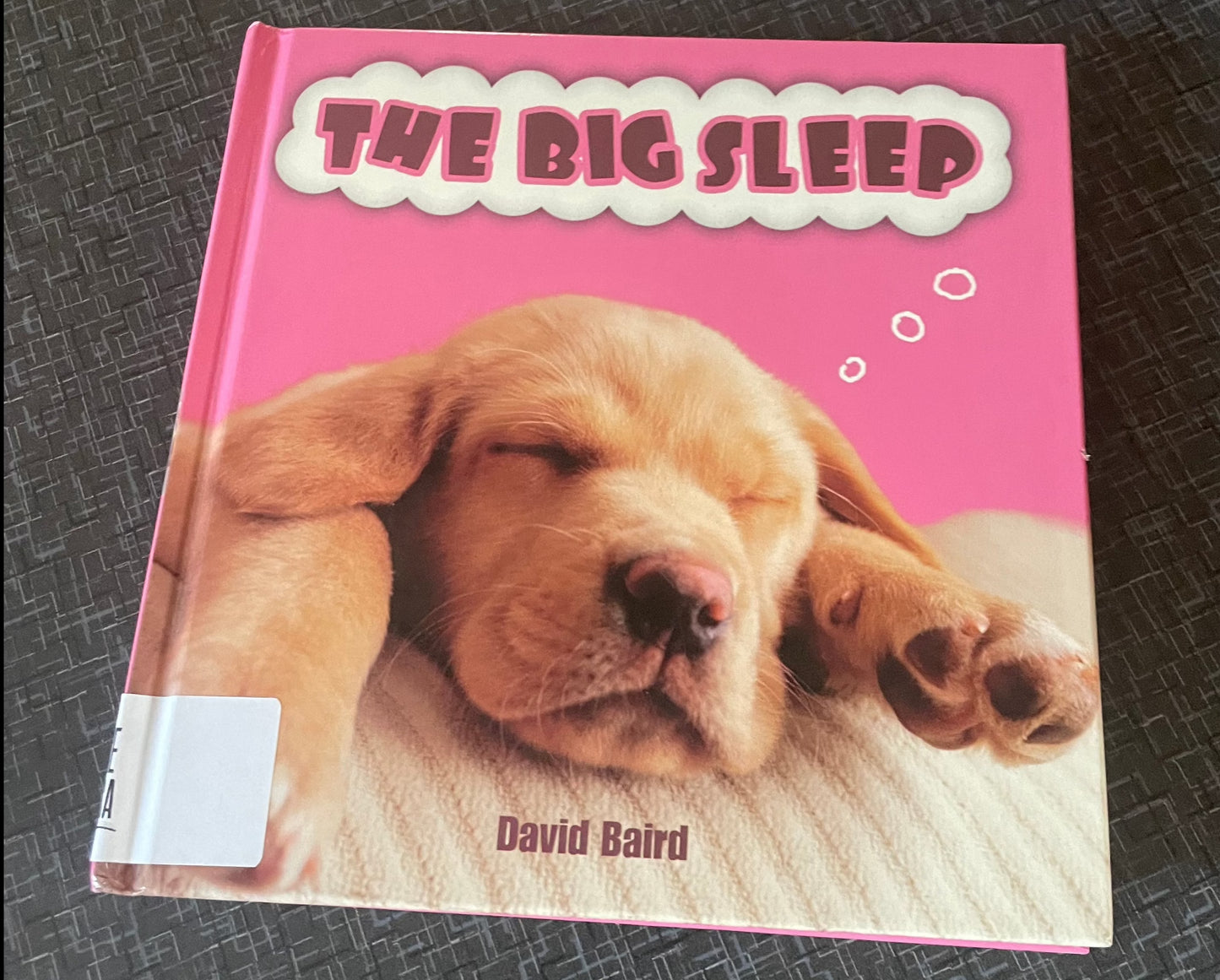 Big Sleep