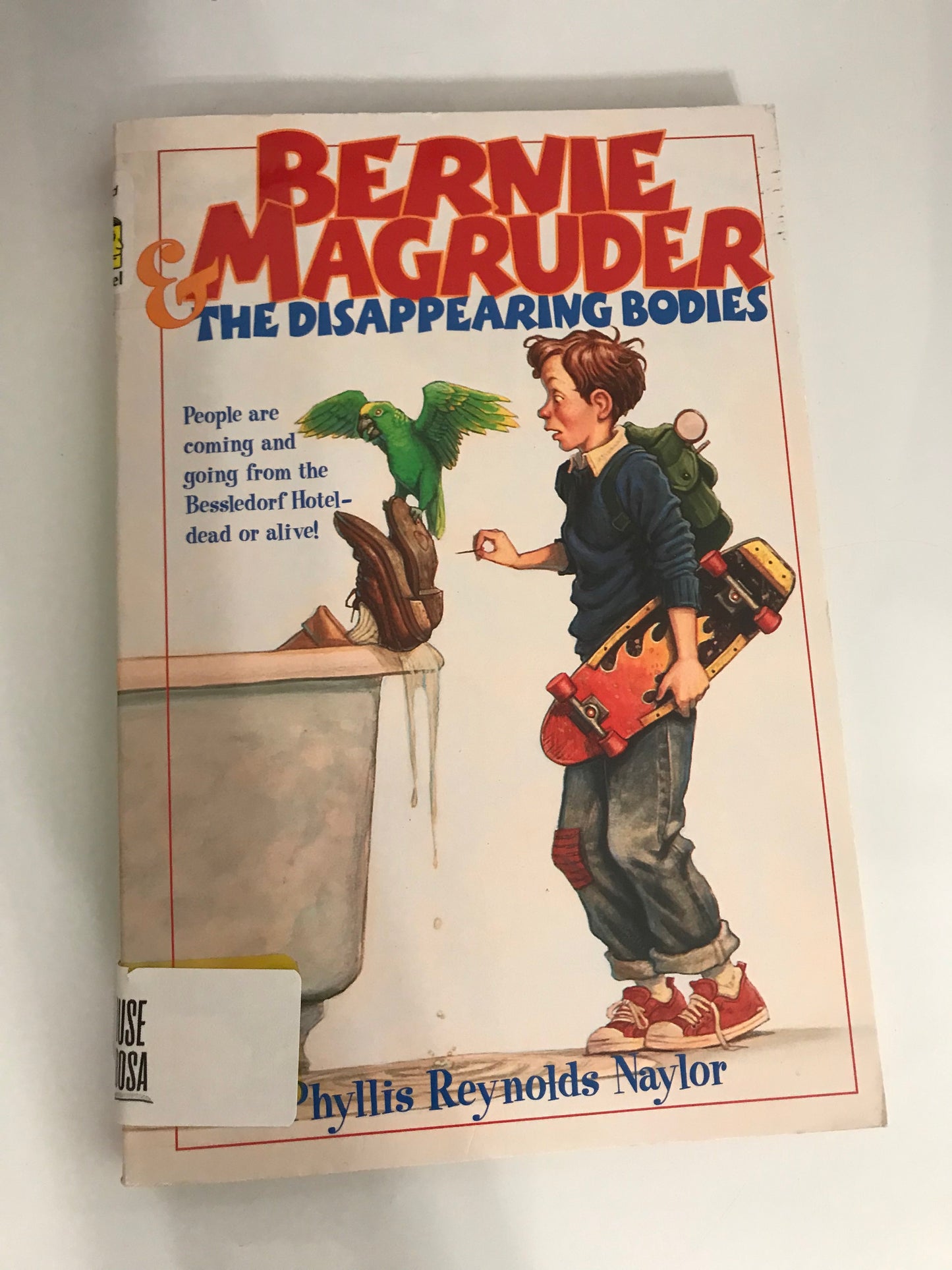 Bernie Magruder and the Disappearing Bodies