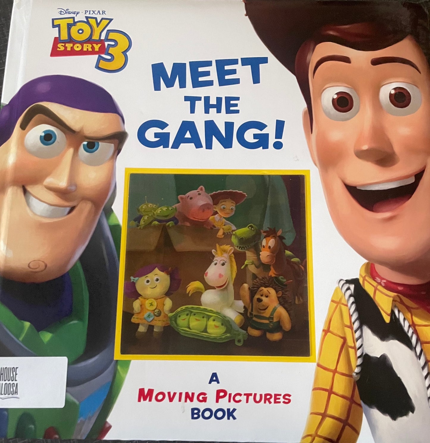Meet the Gang!: A Moving Pictures Book