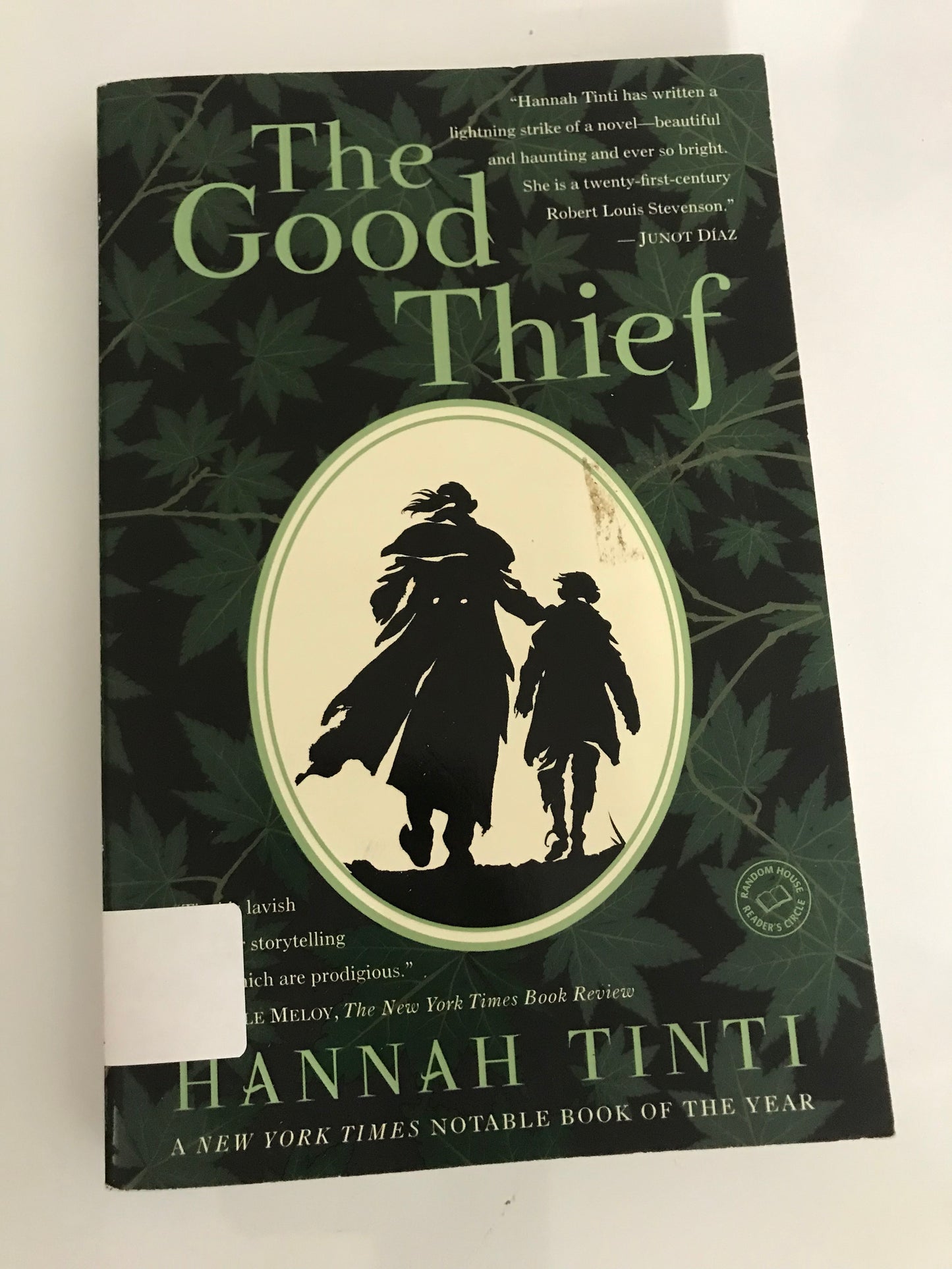 Good Thief: A Novel, The