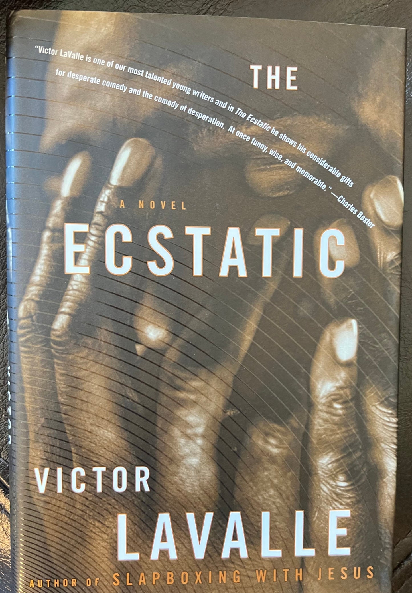 Ecstatic: A Novel, The