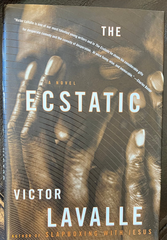 Ecstatic: A Novel, The