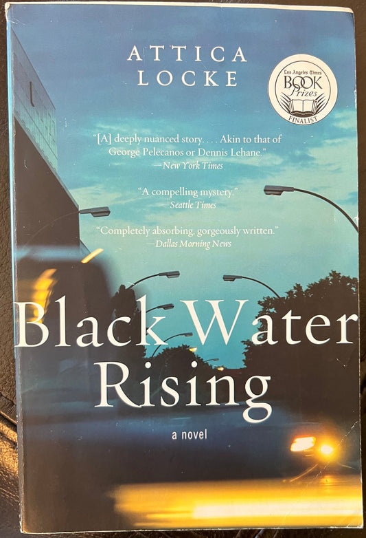 Black Water Rising: A Novel