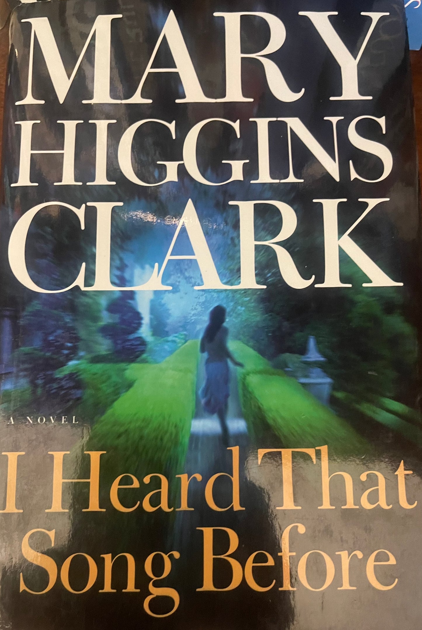 I Heard That Song Before: A Novel