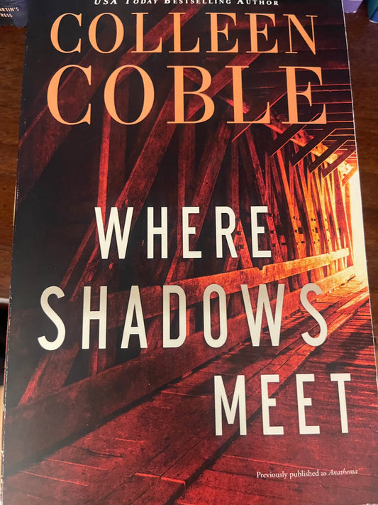 Where Shadows Meet: A Romantic Suspense Novel