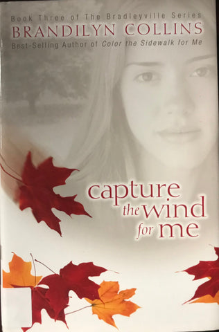 Capture the Wind for Me (Bradleyville Series, Book Three)