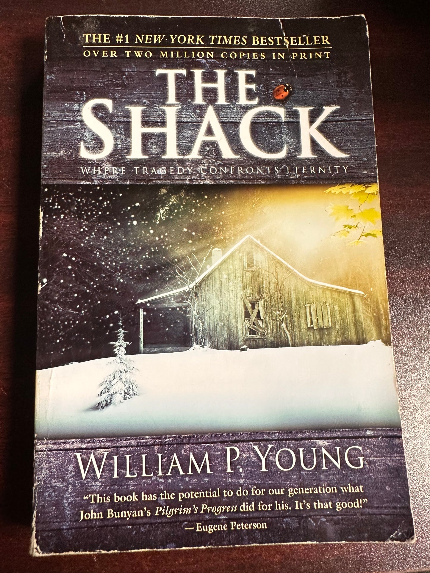 Shack: Where Tragedy Confronts Eternity, The