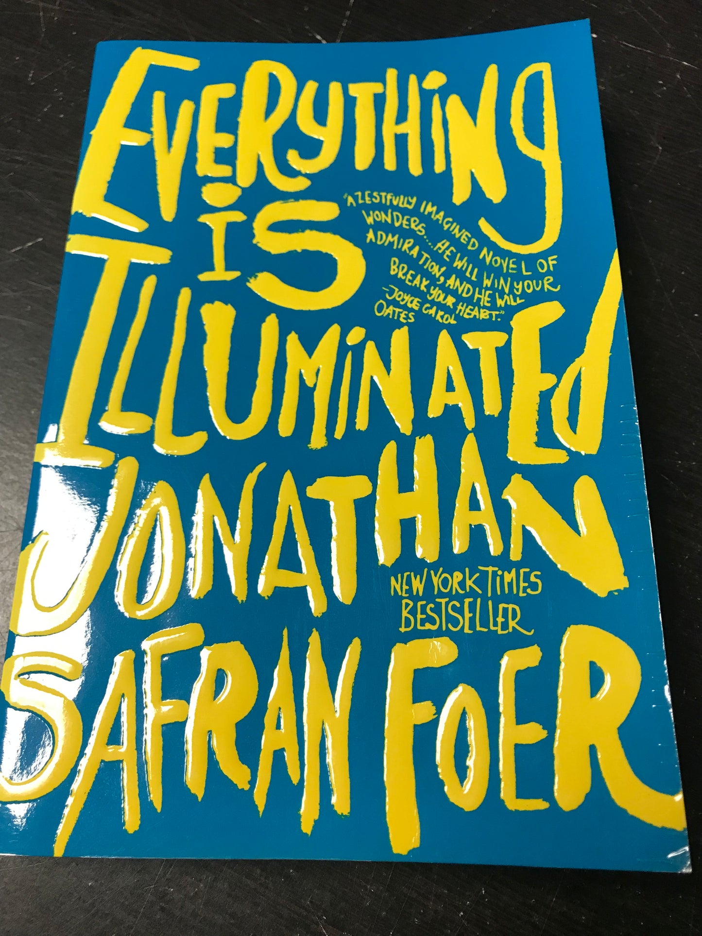 Everything Is Illuminated: A Novel
