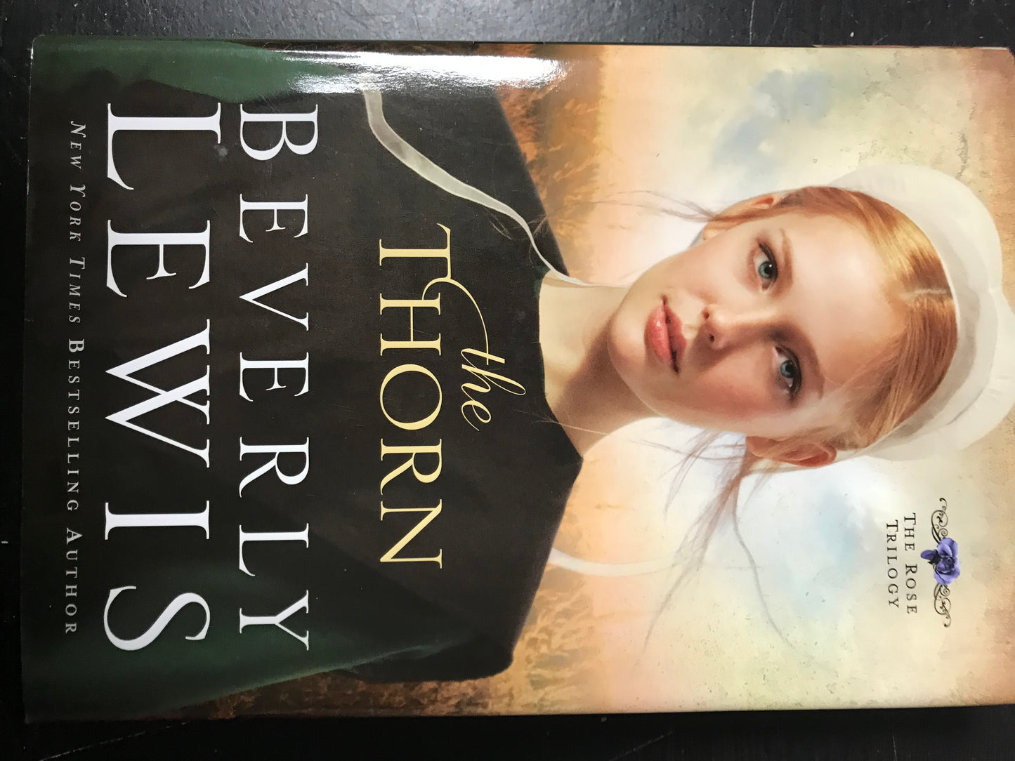 Thorn (The Rose Trilogy, Book One), The