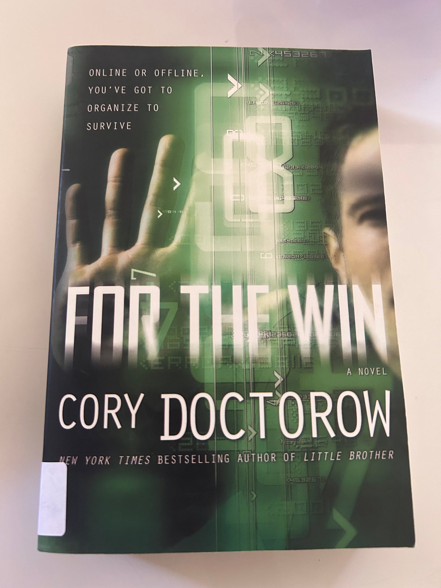 For the Win: A Novel