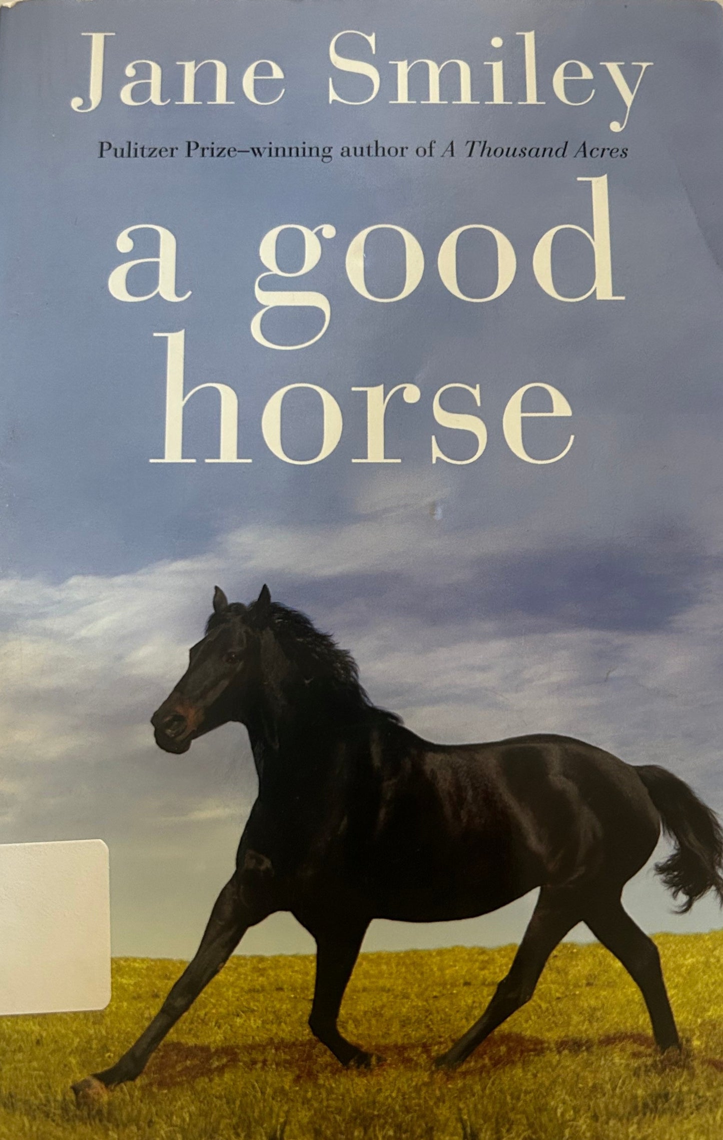 Good Horse: Book Two of the Horses of Oak Valley Ranch, A