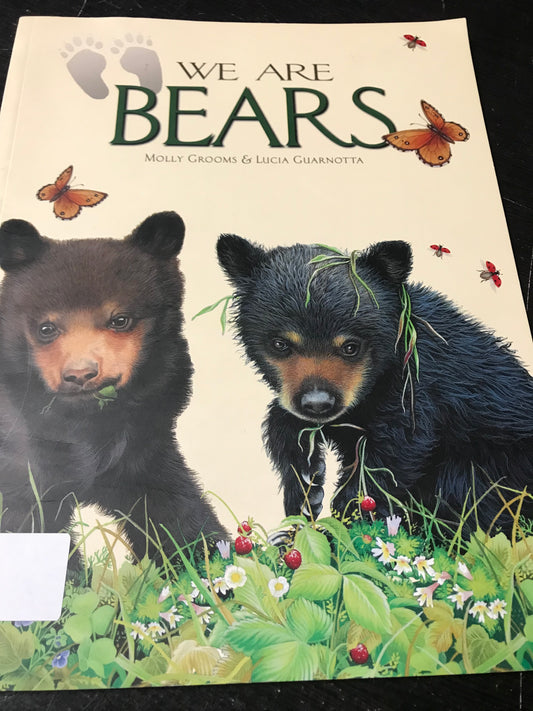 We Are Bears