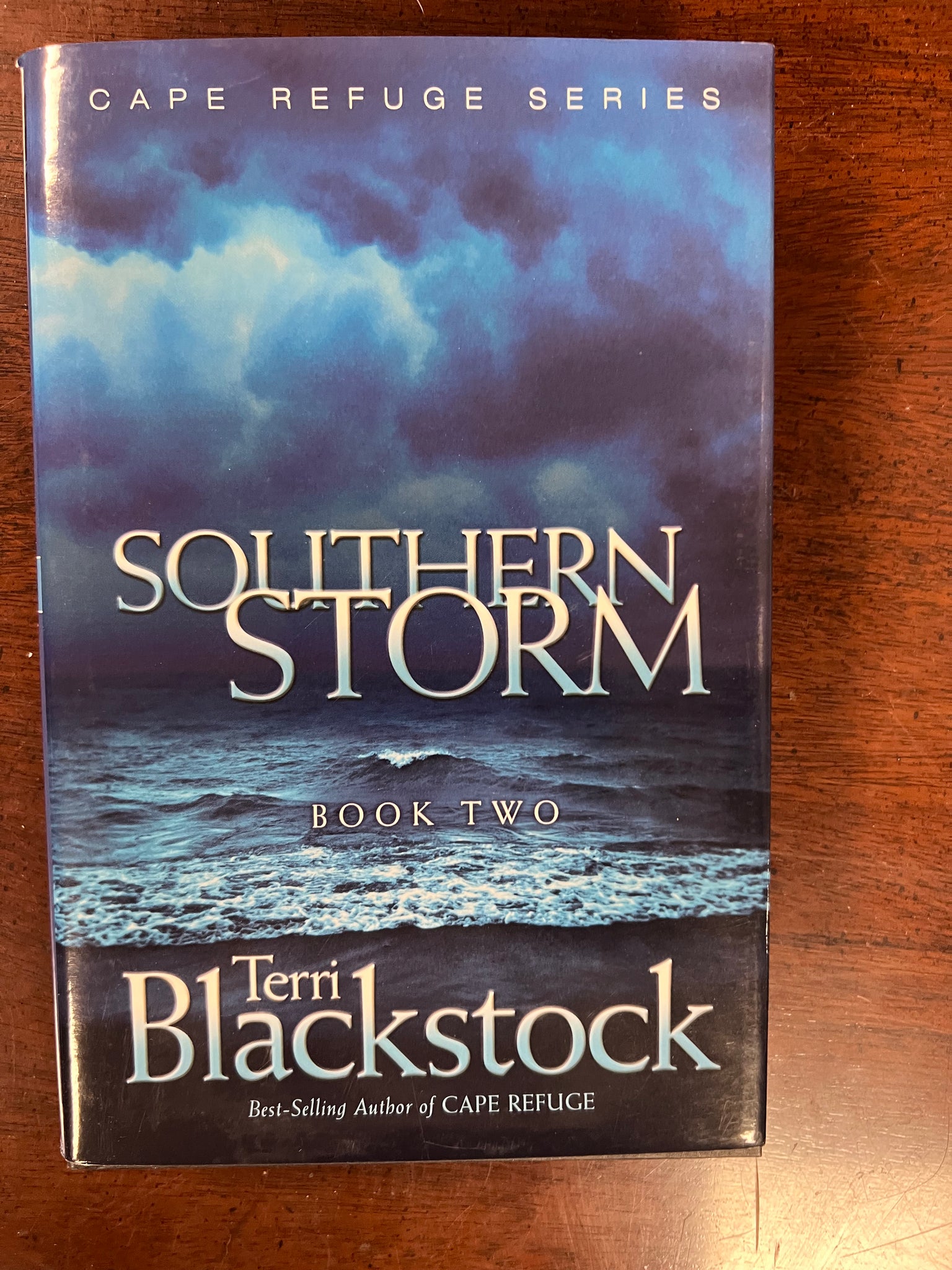 Southern Storm (Cape Pefuge Series, Book 2)