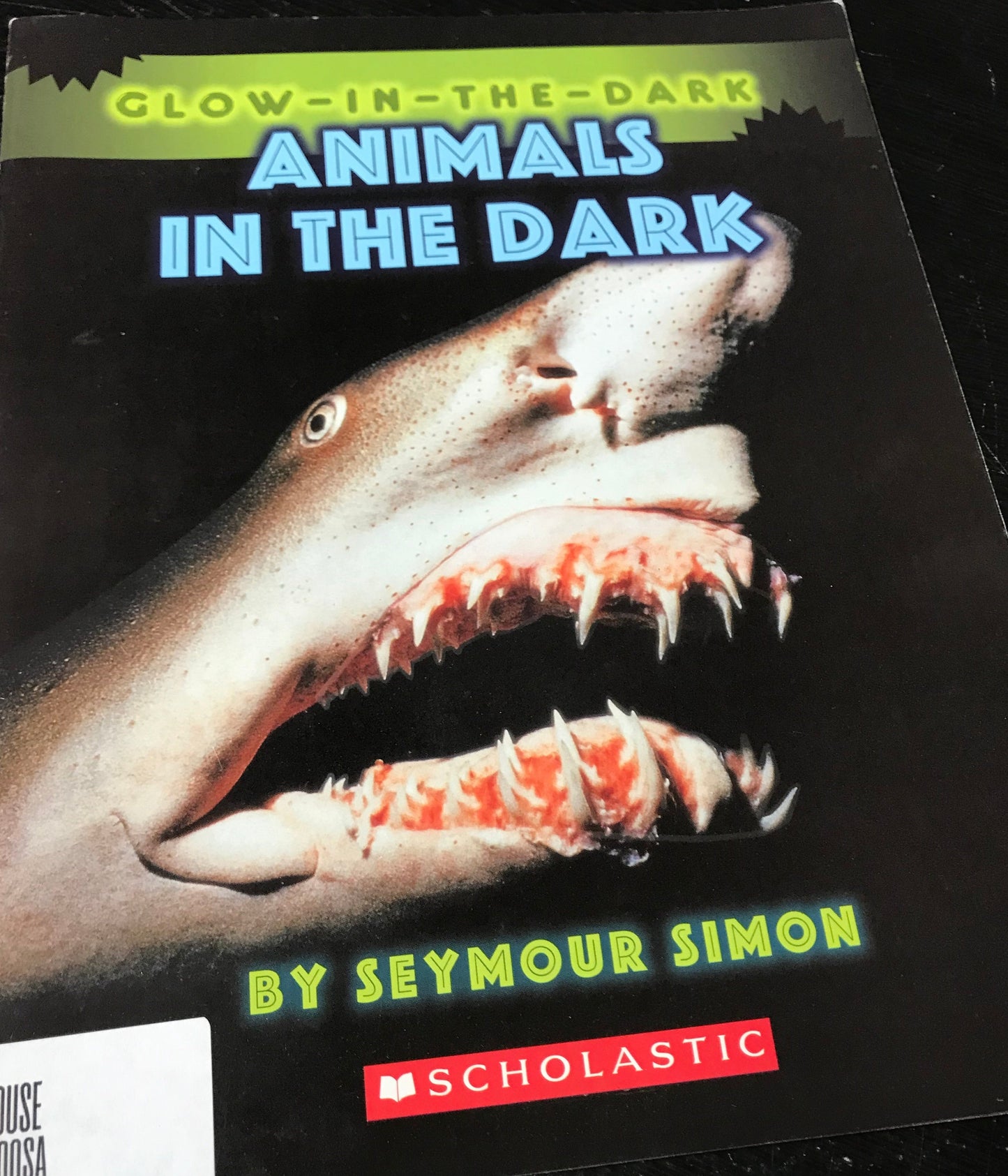 Animals in the Dark (Glow-in-the Dark)