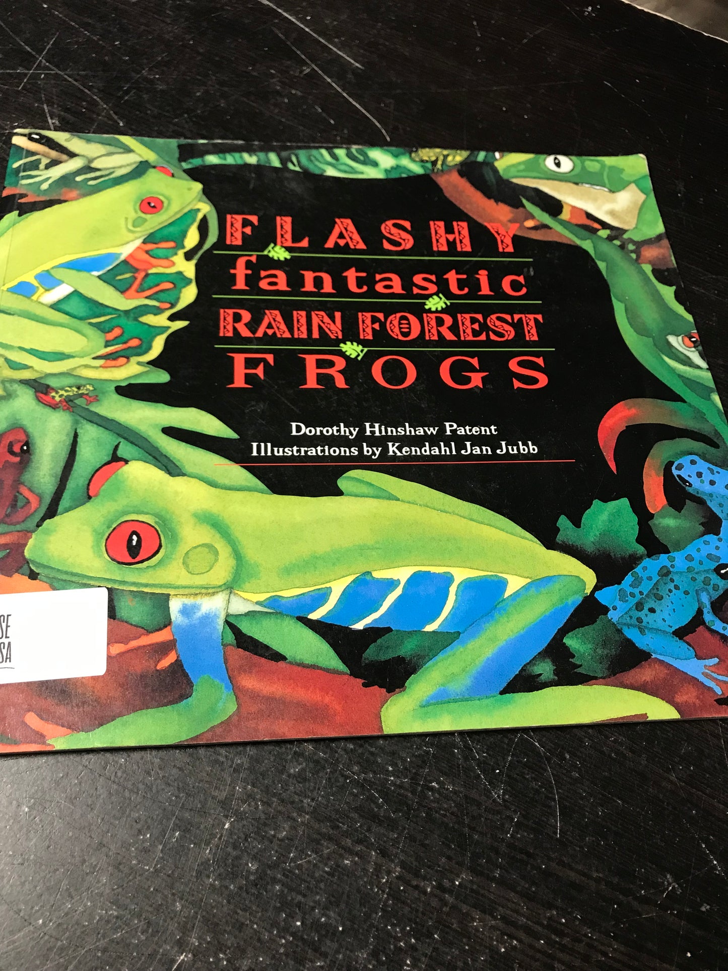 Flashy, Fantastic Rain Forest Frogs