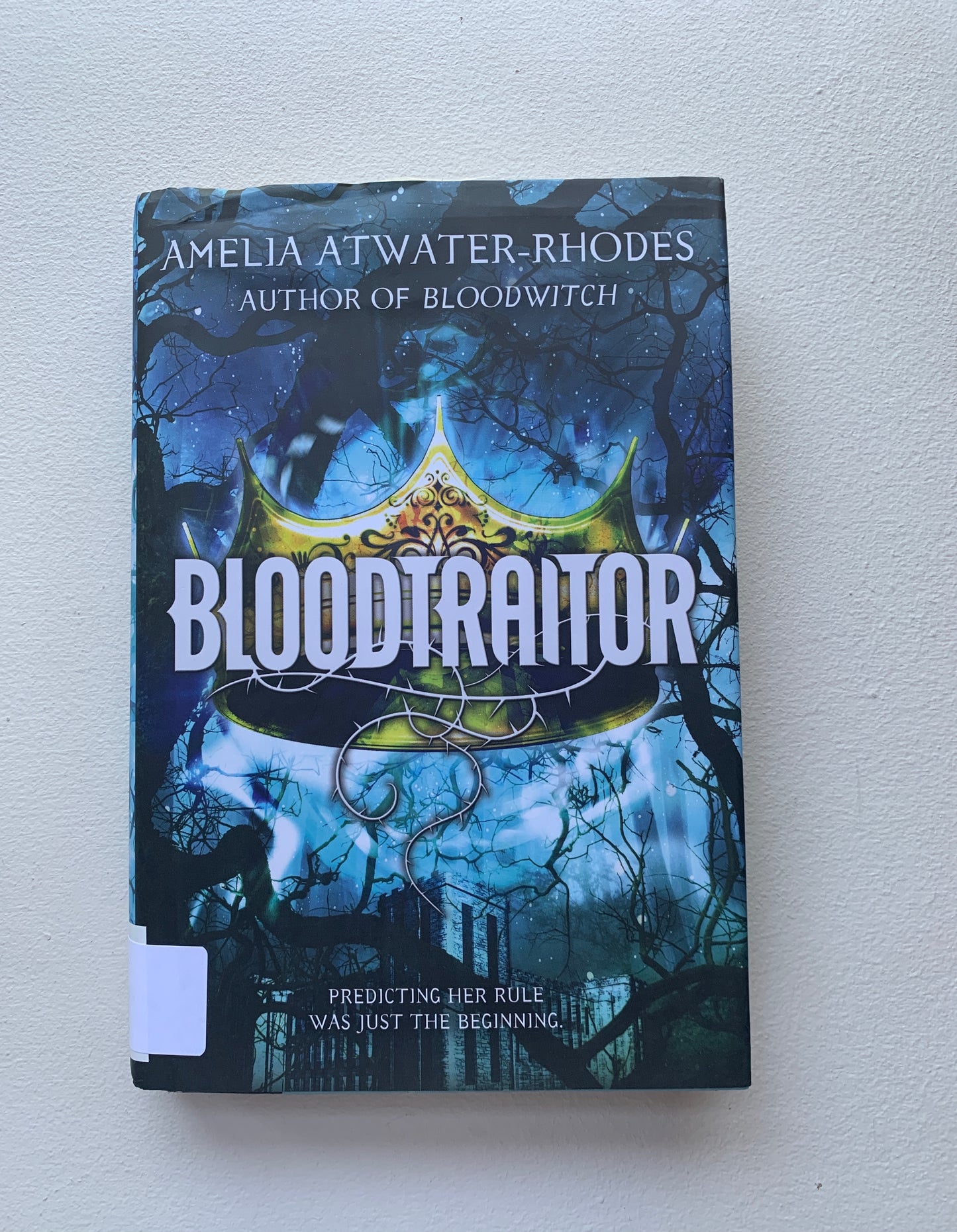Bloodtraitor (Book 3) (The Maeve'ra Series)