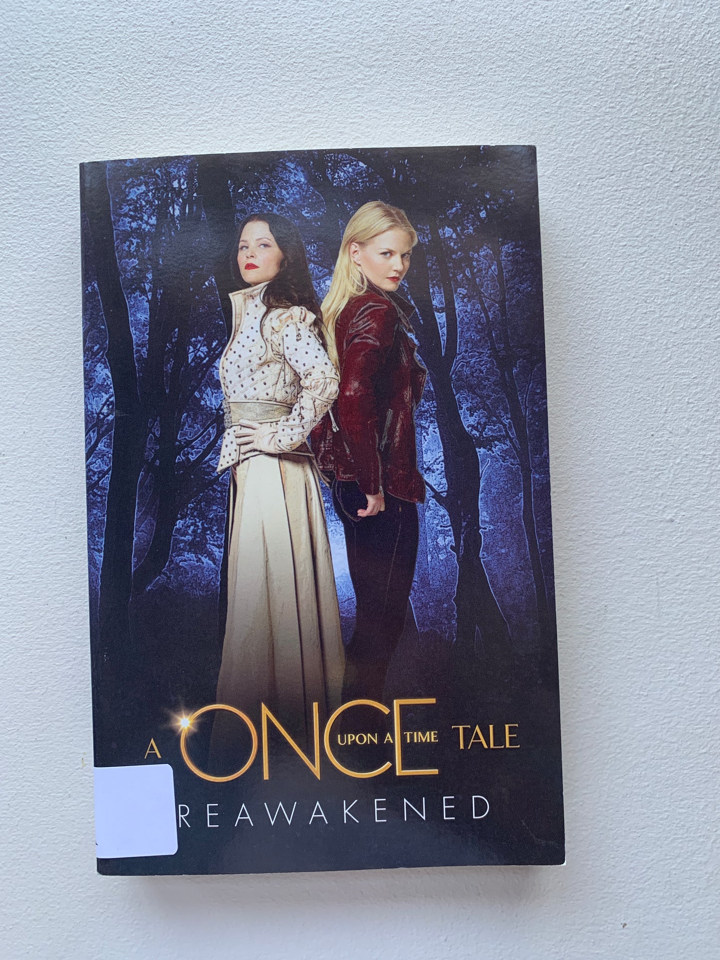 Reawakened: A Once Upon a Time Tale