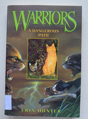 Dangerous Path (Warriors #5), A