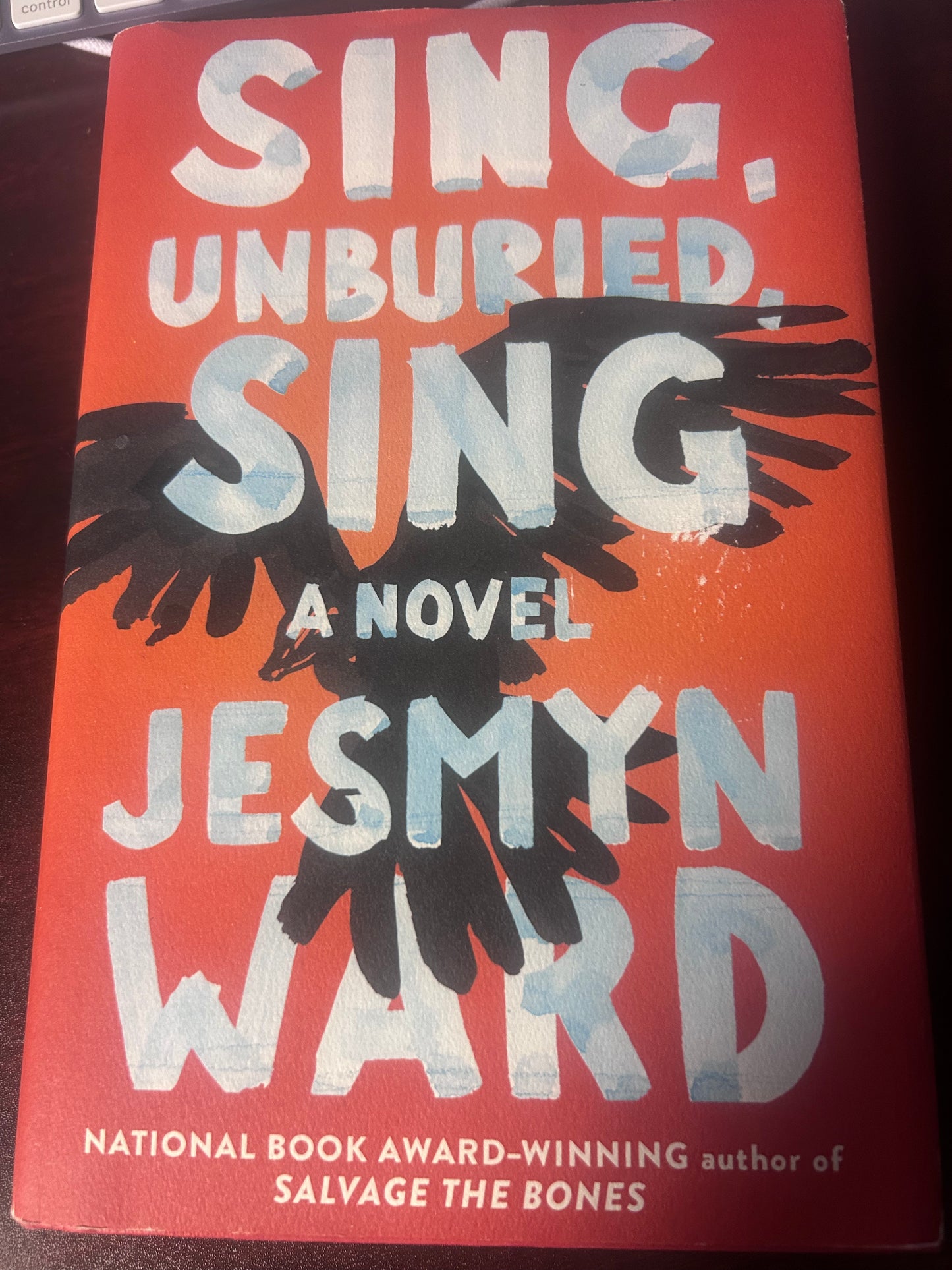 Sing, Unburied, Sing