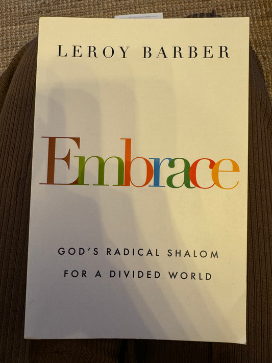Embrace: God's Radical Shalom for a Divided World
