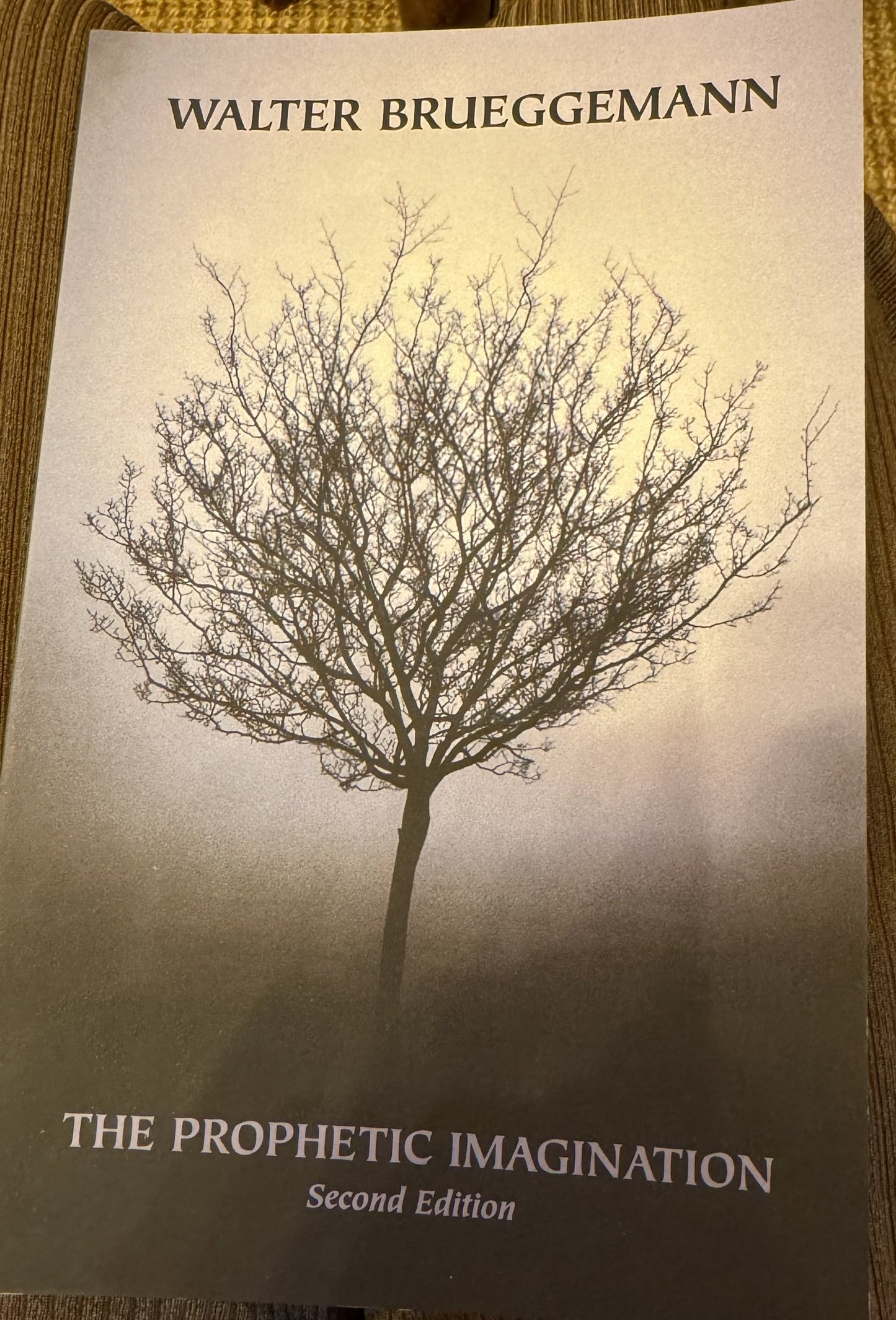 Prophetic Imagination, 2nd Edition, The