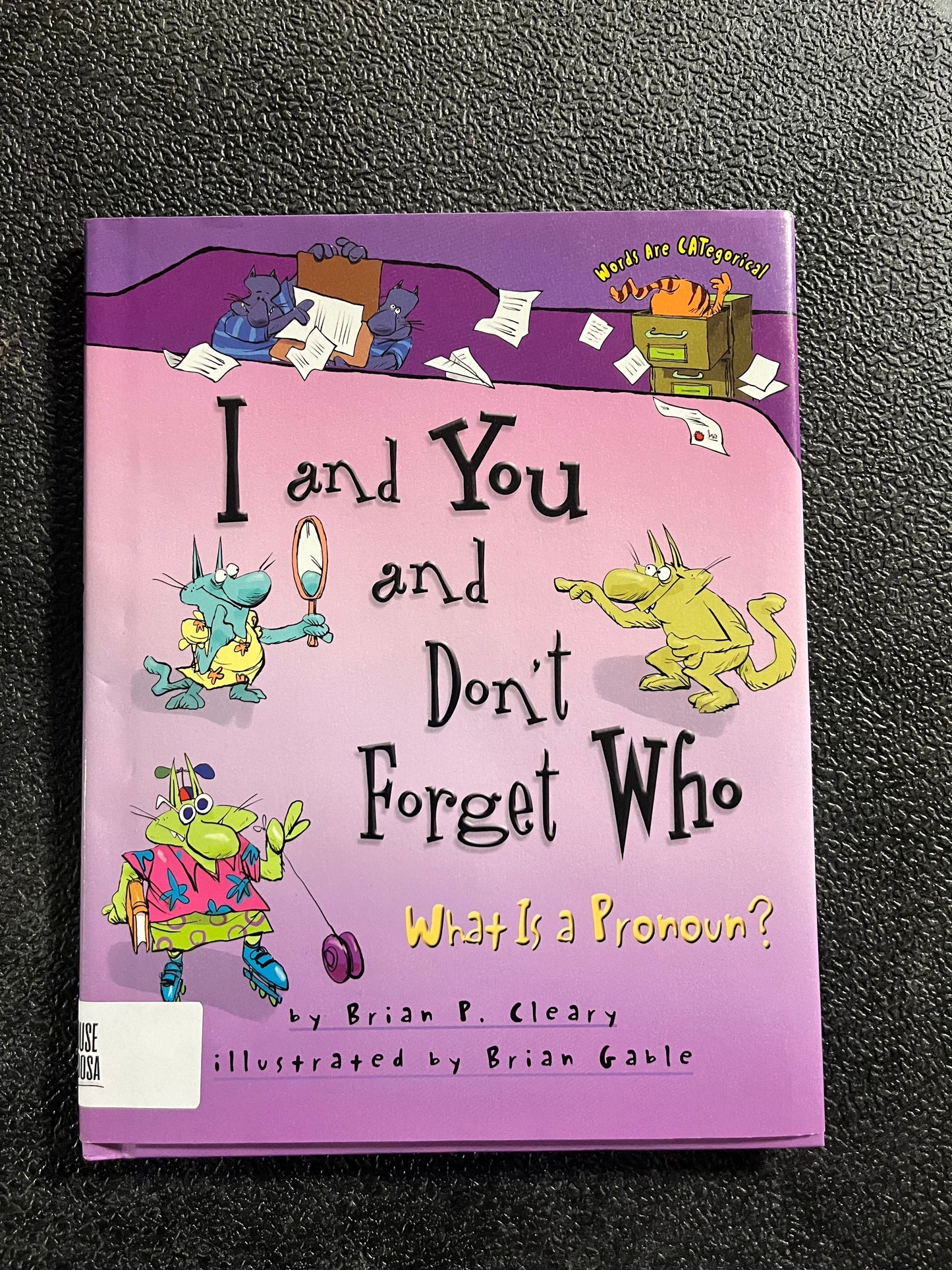 I and You and Don't Forget Who: What is a Pronoun?