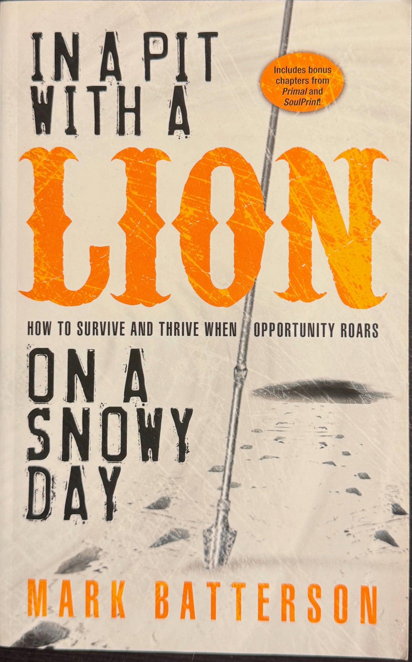 In a Pit with a Lion on a Snowy Day: How to Survive and Thrive When Opportunity Roars