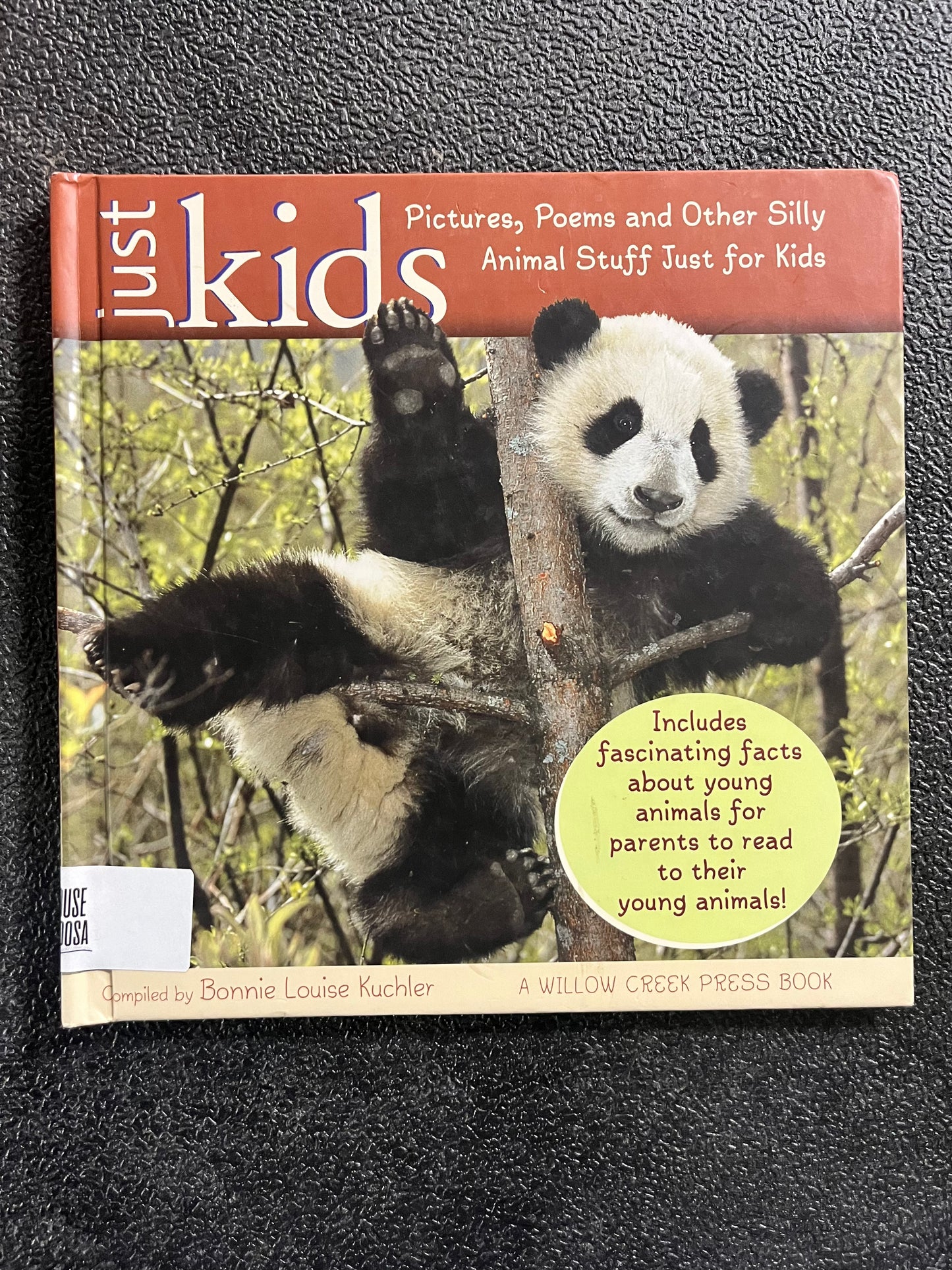 Just Kids: Pictures, Poems, & Other Silly Animal Stuff Just for Kids