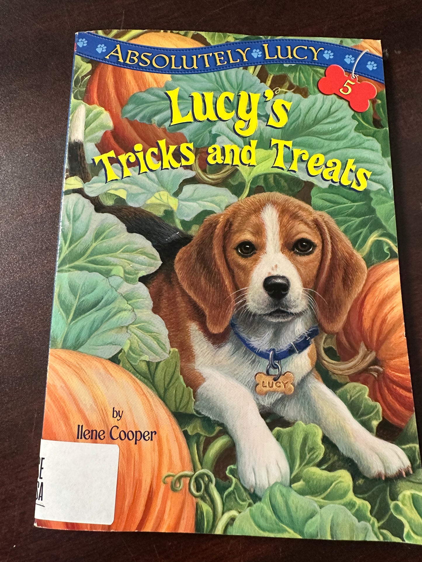 Lucy's Tricks and Treats