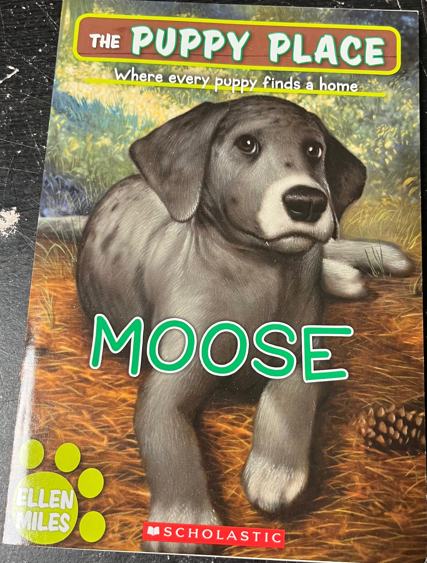 The Puppy Place: Moose