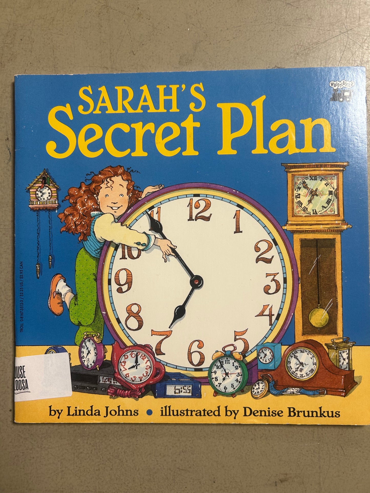 Sarah's Secret Plan