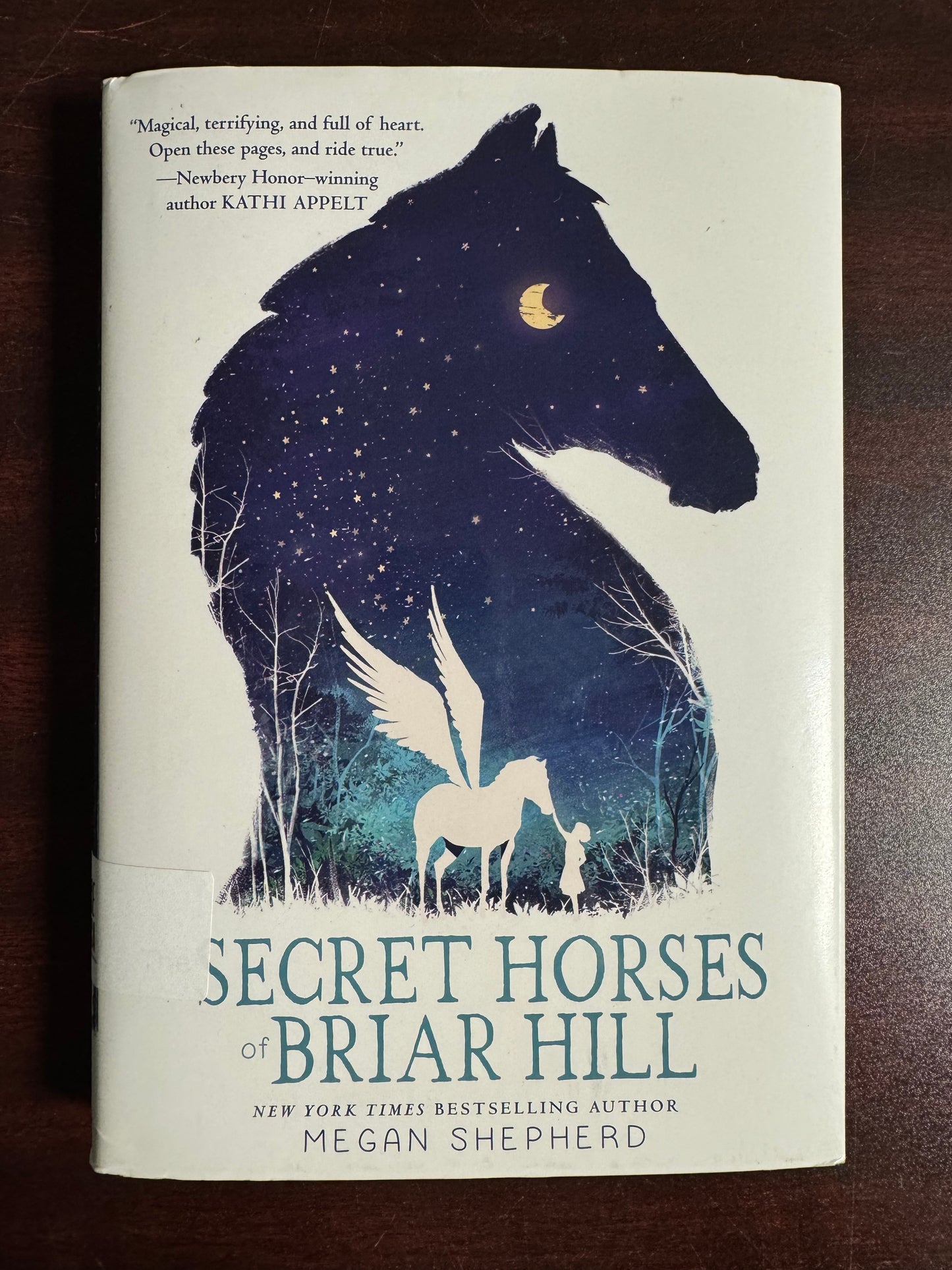 Secret Horses of Briar Hill, The
