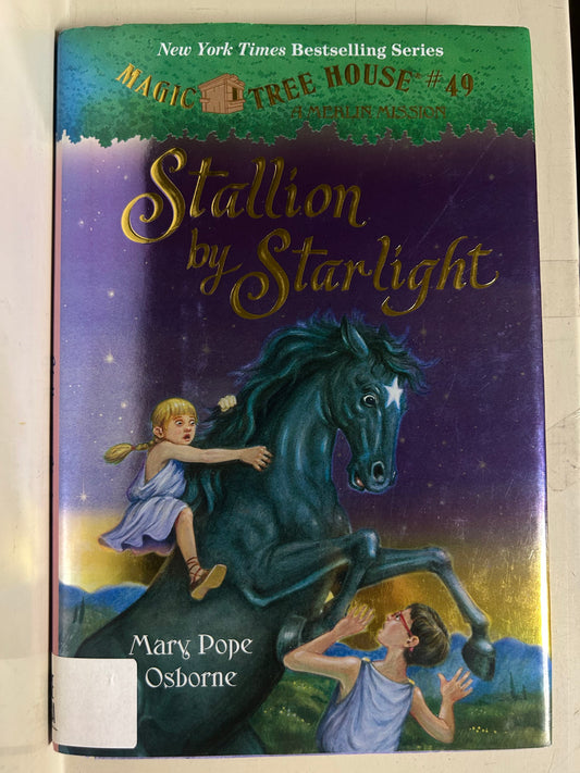 Stallion by Starlight