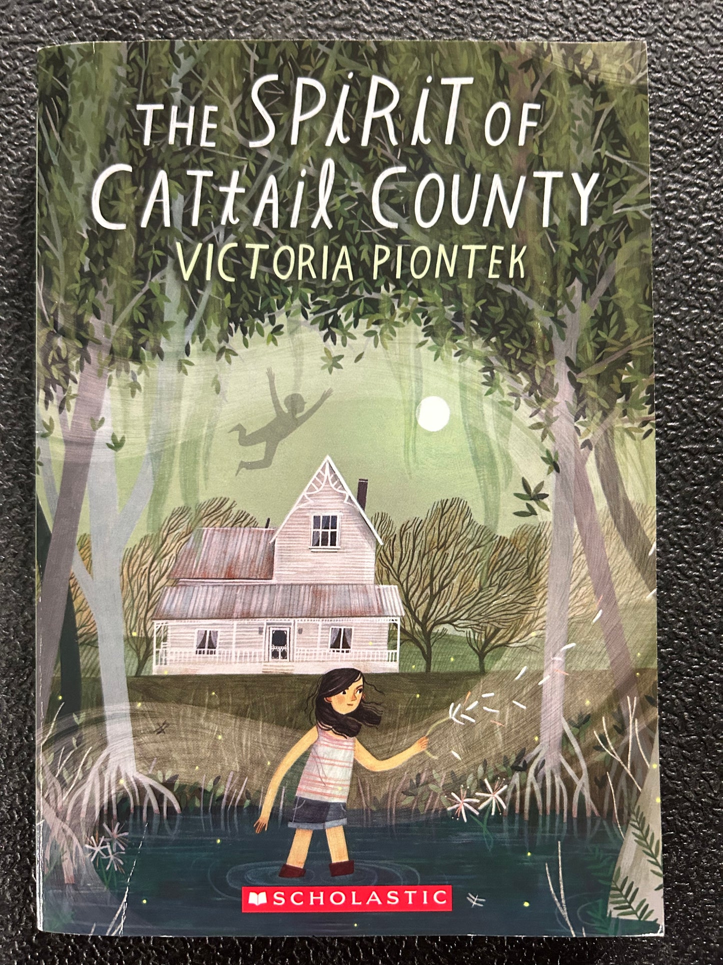 The Spirit of Cattail County