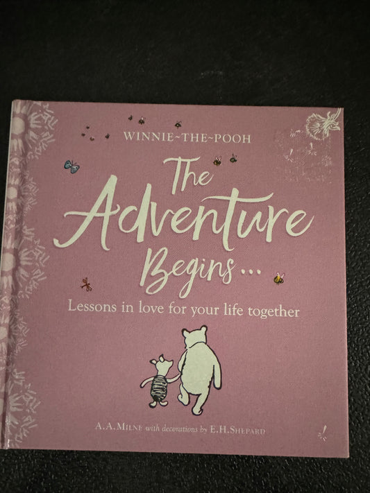 The Adventure Begins