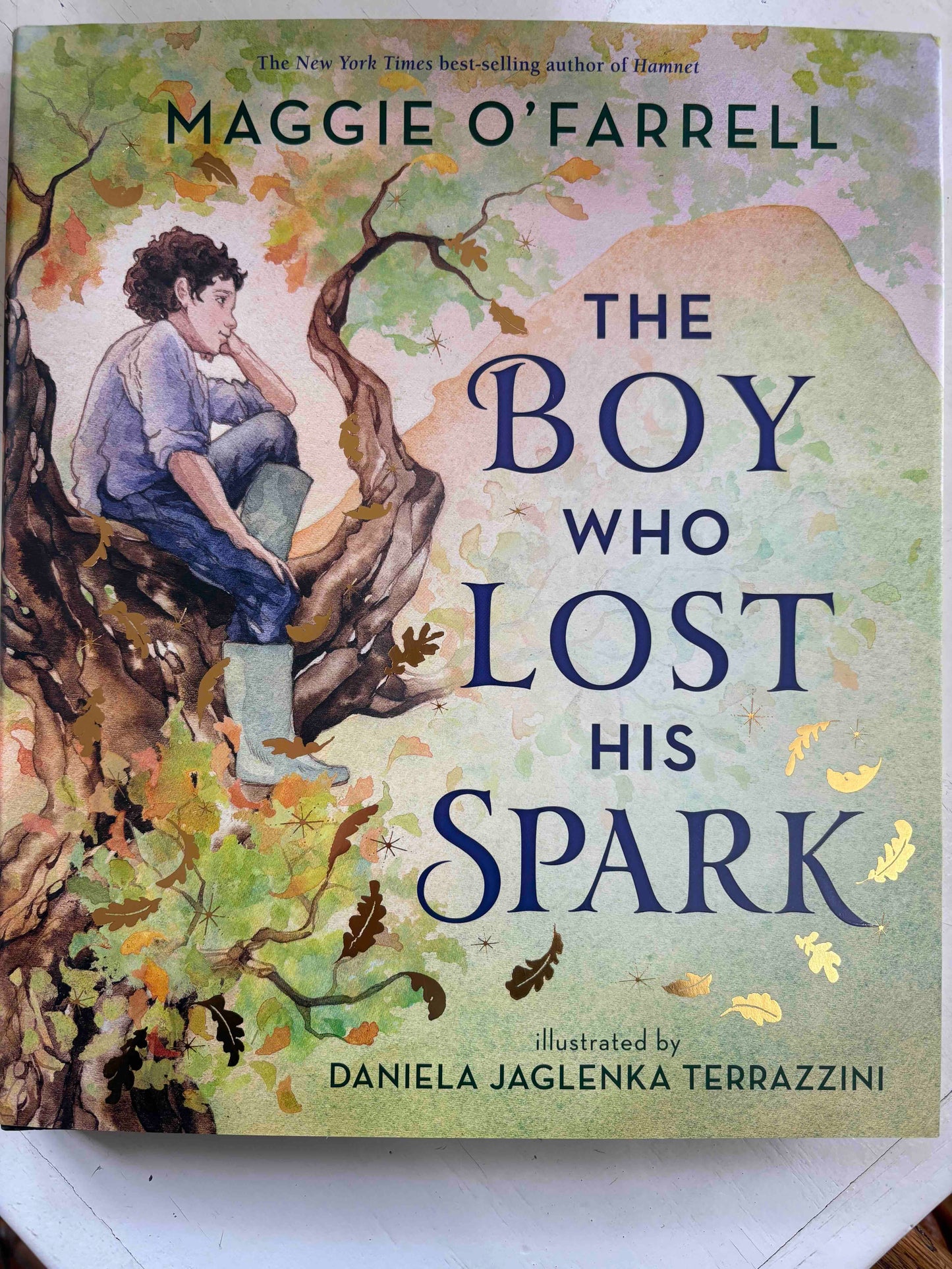 The Boy Who Lost His Spark
