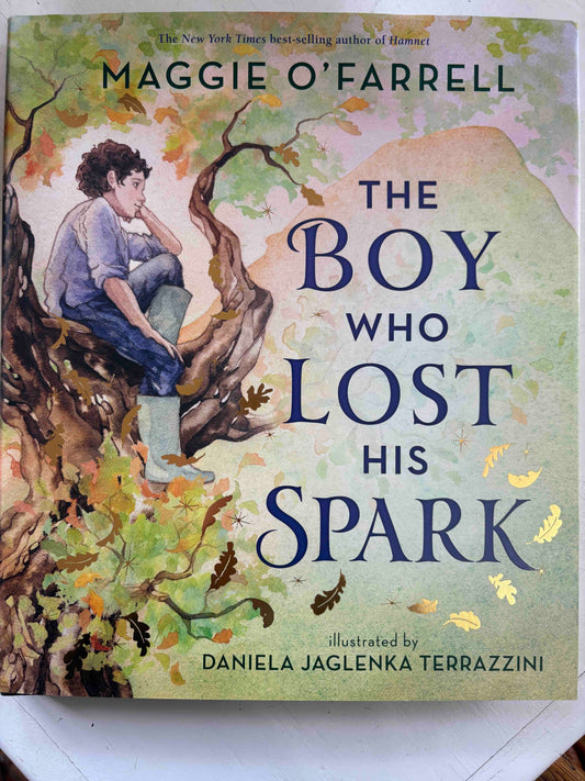 The Boy Who Lost His Spark
