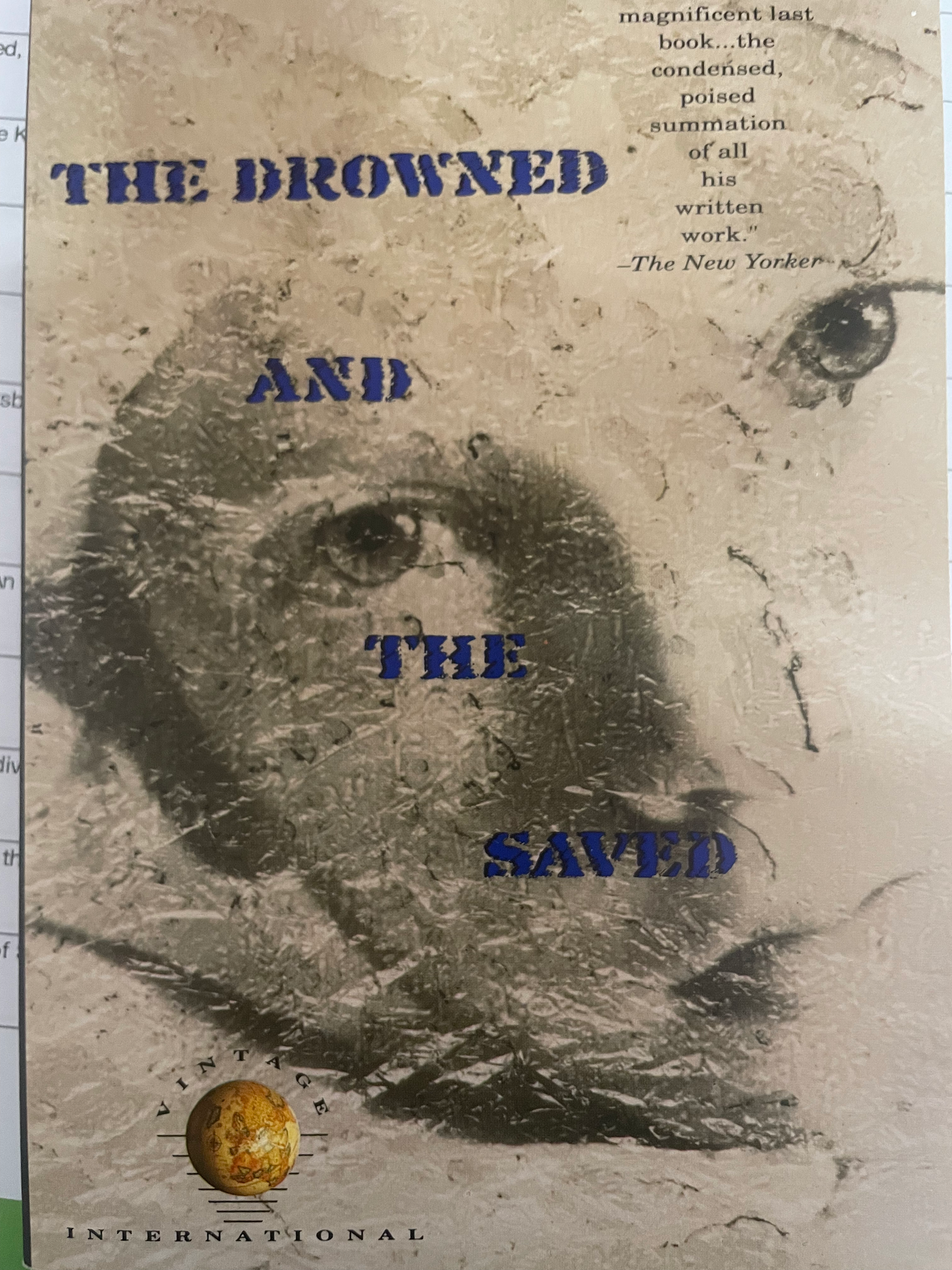 Drowned and the Saved, The